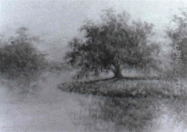 Live Oak Near A Bayou Oil Painting by Alexander John Drysdale