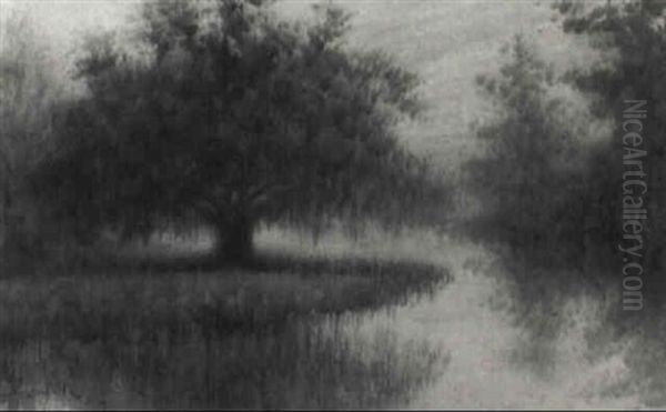 Live Oak On The Bayou Oil Painting by Alexander John Drysdale