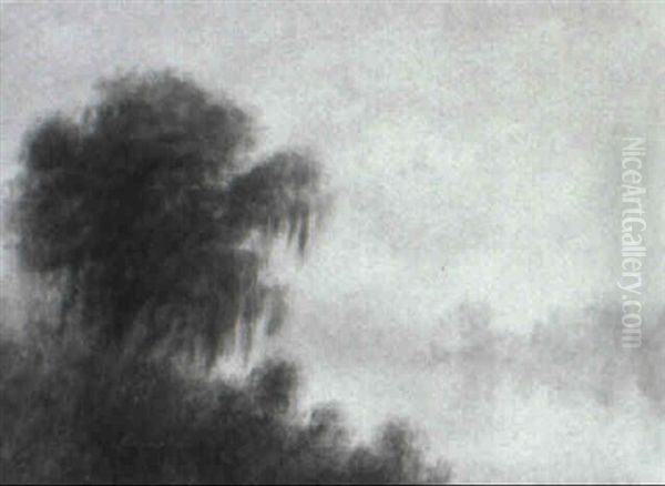 Bayou Peninsula With Cypress Oil Painting by Alexander John Drysdale