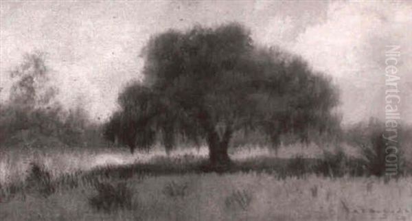 Bayou Scene With Oak Tree Oil Painting by Alexander John Drysdale