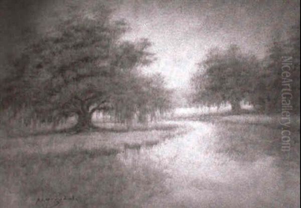 Bayou Scene With Live Oaks And Cypresses Oil Painting by Alexander John Drysdale