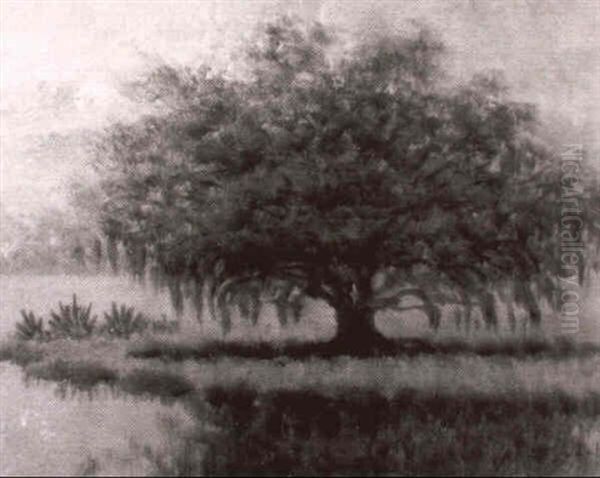 Live Oak Oil Painting by Alexander John Drysdale