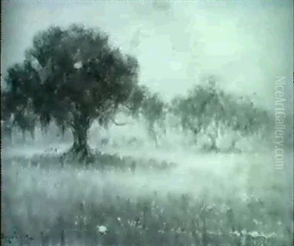 Live Oak With Cast Iron Benches Oil Painting by Alexander John Drysdale