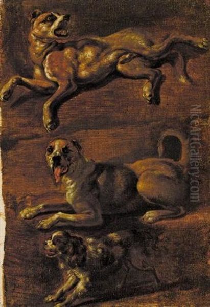 Studies Of Dogs (3 Works) Oil Painting by Eduard Dubois