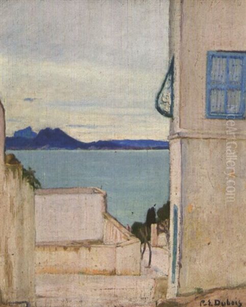 Maisons A Sidi Bou-said Oil Painting by Paul Emile Dubois