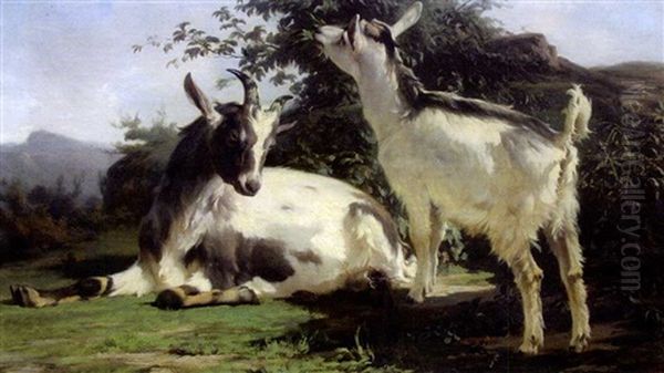 Chevre Et Son Chevreau Oil Painting by Alexandre Dubuisson