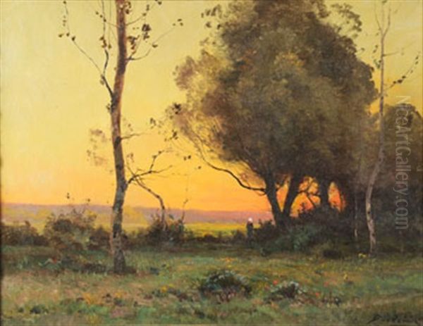 Coucher De Soleil Oil Painting by Daniel Duchemin