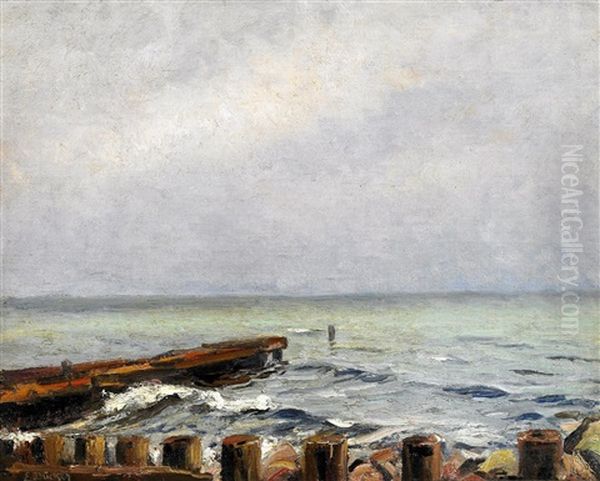 Kustenpartie Bei Aufziehendem Regen Oil Painting by Eugen Gustav Duecker