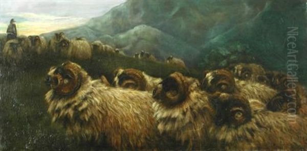 Highland Blackface Sheep Being Herded On A Hillside Oil Painting by John Robert Keitley Duff