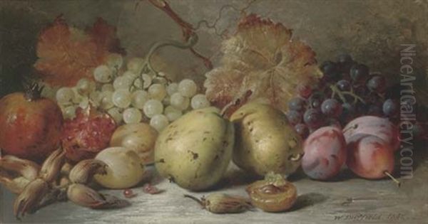 Pears, Plums, Grapes, Pomegranites And Hazelnuts Oil Painting by William Duffield