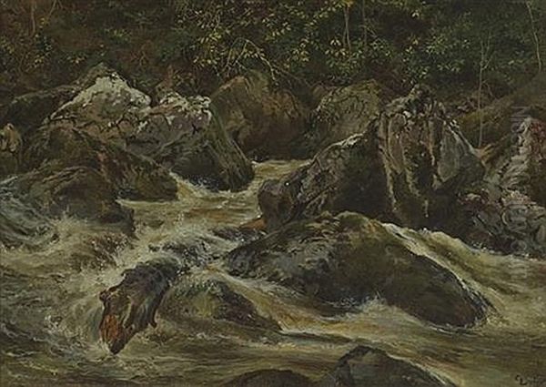 River Oil Painting by Patrick Vincent Duffy