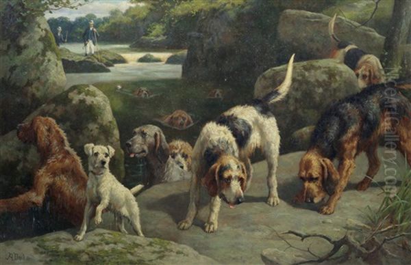 Otterhounds On A Scent Oil Painting by Alfred Duke