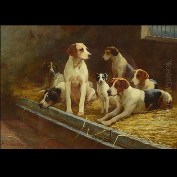 Foxhound Harriers Oil Painting by Alfred Duke