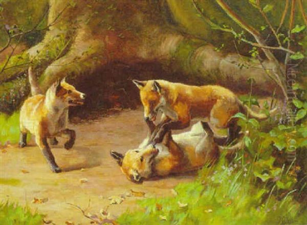 Fox Cubs Playing In A Wooded Glade Oil Painting by Alfred Duke