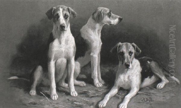 A Study Of Three Hounds Oil Painting by Alfred Duke