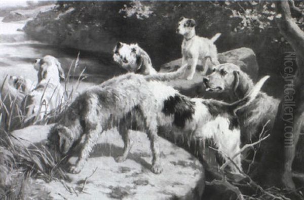 Otter Hounds Oil Painting by Alfred Duke