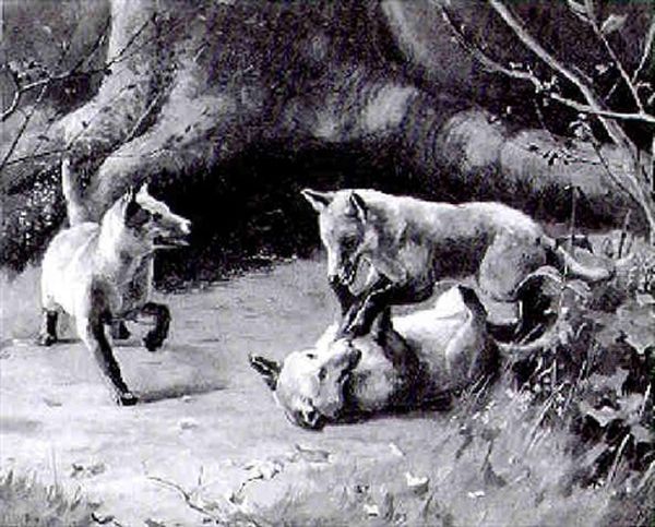 Fox Cubs Playing By A Tree Oil Painting by Alfred Duke