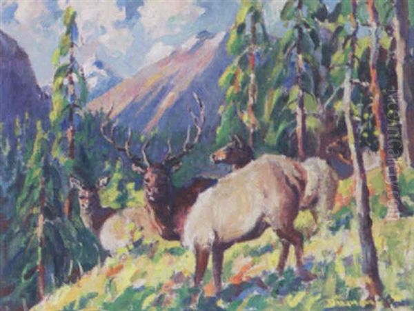 Elk On A Mountainside Oil Painting by H. Boylston Dummer