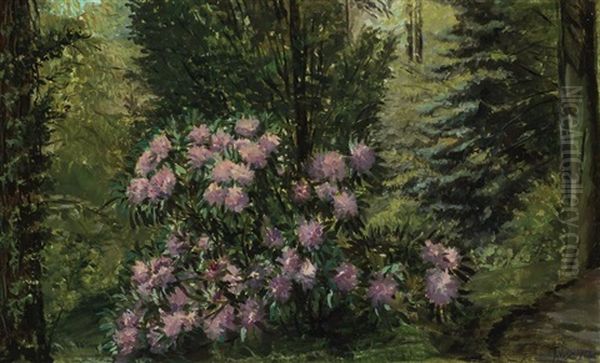 Pink Rhododendrons Oil Painting by Frank Vincent Dumond