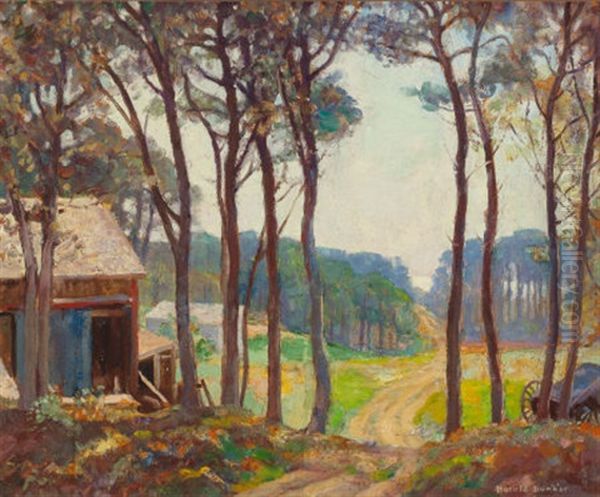 Old Shed At Forest Clearing Oil Painting by Harold C. Dunbar