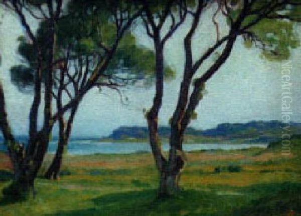 Trees Near The Shore Oil Painting by Harold C. Dunbar