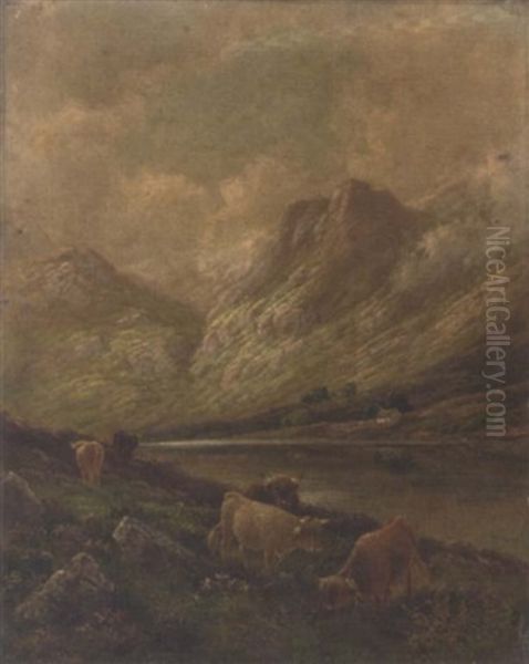 Highland Cattle, Perthshire Oil Painting by Albert Dunington