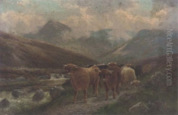 Highland Cattle By The Beauly River, Invernesshire Oil Painting by Albert Dunington