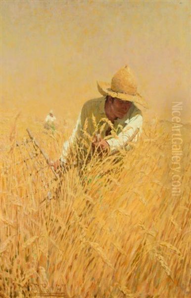 Harvesting The Wheat (illus. For Outing Magazine) Oil Painting by Harvey Dunn