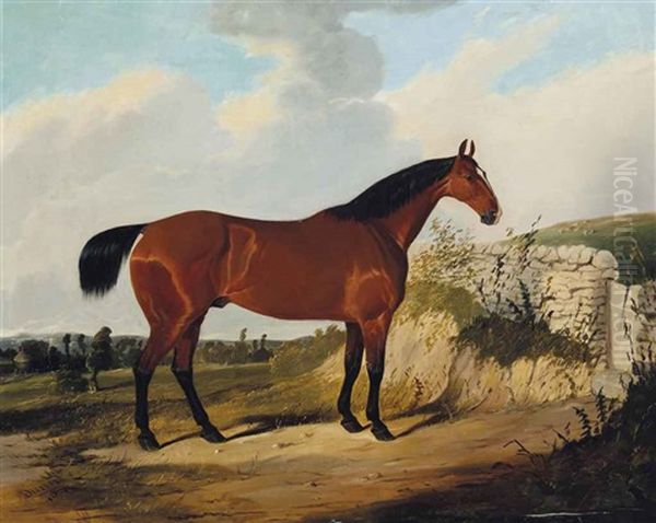 A Bay Hunter In A Landscape Oil Painting by Joseph (of Worcester) Dunn