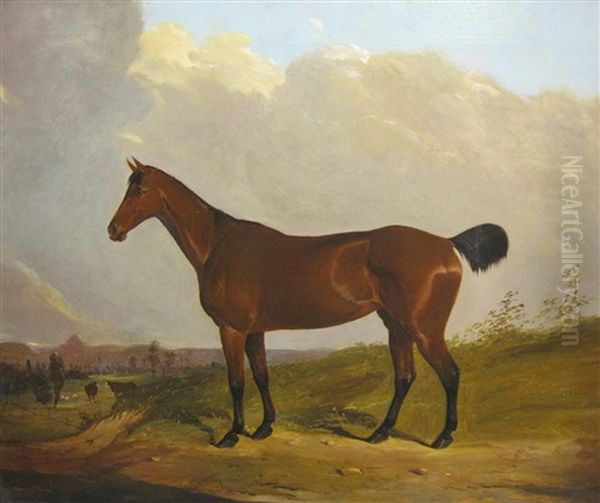 A Bay Hunter On A Path,an Extensive Landscape Beyond Oil Painting by Joseph (of Worcester) Dunn