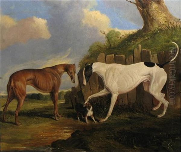 Racer, Mungo And Rally Oil Painting by Joseph (of Worcester) Dunn