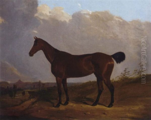 A Chestnut Hunter In A Landscape Oil Painting by Joseph (of Worcester) Dunn