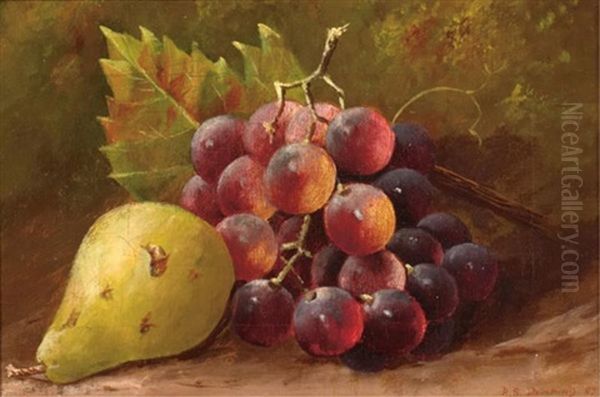 Still Life Of Grapes And A Pear In A Naturalistic Setting Oil Painting by Robert Spear Dunning