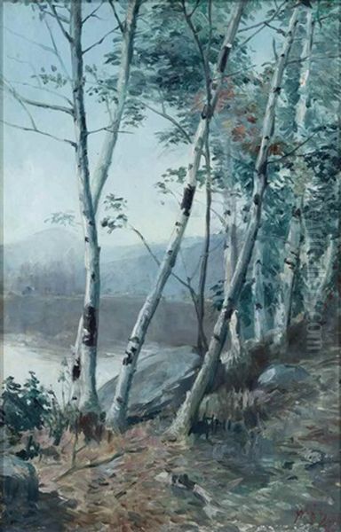 White Birches Oil Painting by William Herbert Dunton