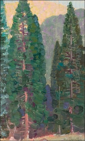 In The Pines Oil Painting by William Herbert Dunton