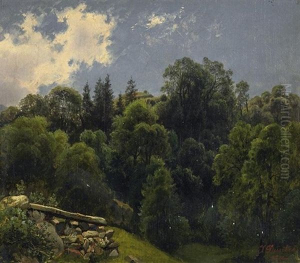 Sommertag. Blick In Einen Mischwald Oil Painting by Johannes Bartholomaeus Duntze