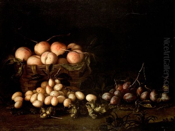 Nature Morte Au Panier De Peches, Prunes Et De Noisettes Oil Painting by Pierre Dupuis