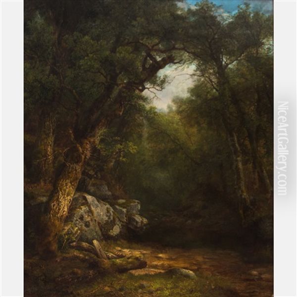 The Butternut Tree, Study From Nature, Lake George, New York Oil Painting by Asher Brown Durand