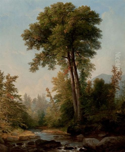 A Natural Monarch Oil Painting by Asher Brown Durand