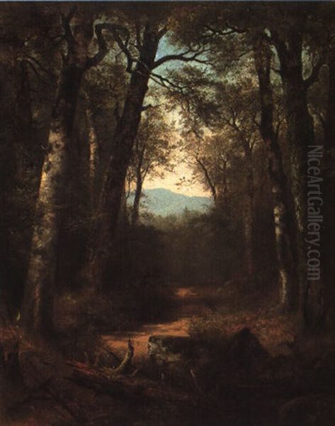 The Way Through The Woods Oil Painting by Asher Brown Durand