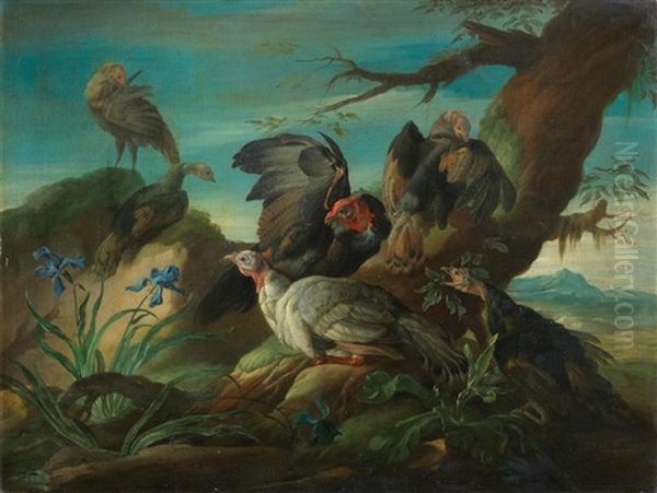 Turkeys In A Landscape; And Ducks Before A Tree (2) Oil Painting by Giorgio (Count) Durante