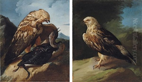 A Buzzard Attacking A Cormorant In A Landscape (+ A Buzzard In A Landscape; Pair) Oil Painting by Giorgio (Count) Durante