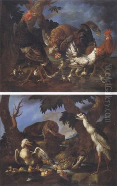 Uccelli Ed Animali In Un Paesaggio Oil Painting by Giorgio (Count) Durante