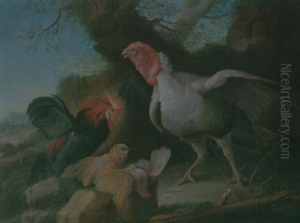 Still Life Of A Turkey, A Bantam, A Barn Owl And A Grey Partridge In A Rocky Landscape Oil Painting by Giorgio (Count) Durante