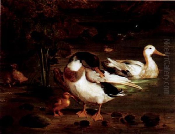 Wildenten An Einem Teich Oil Painting by Giorgio (Count) Durante