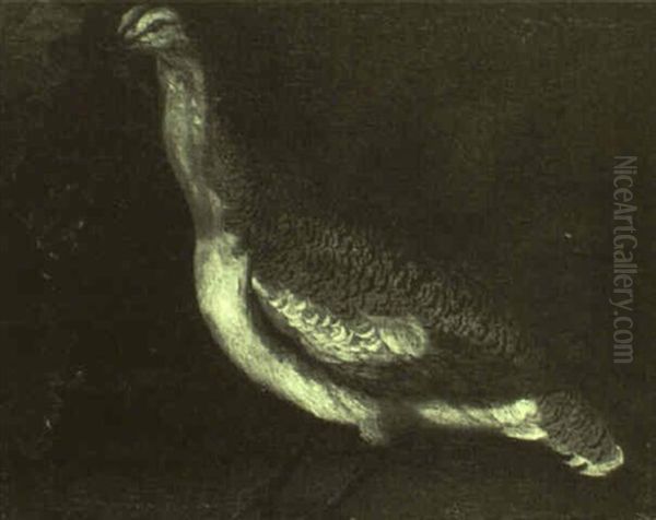 Portrait Of A Bustard In A Rocky Landscape Oil Painting by Giorgio (Count) Durante