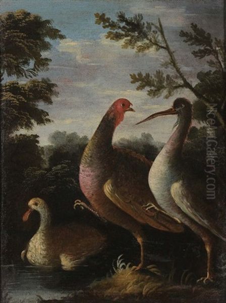 Paesaggio Con Volatili by Giorgio Duranti