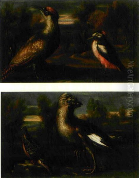 Faglar I Landskap (+ Another; Pair) Oil Painting by Giorgio Duranti