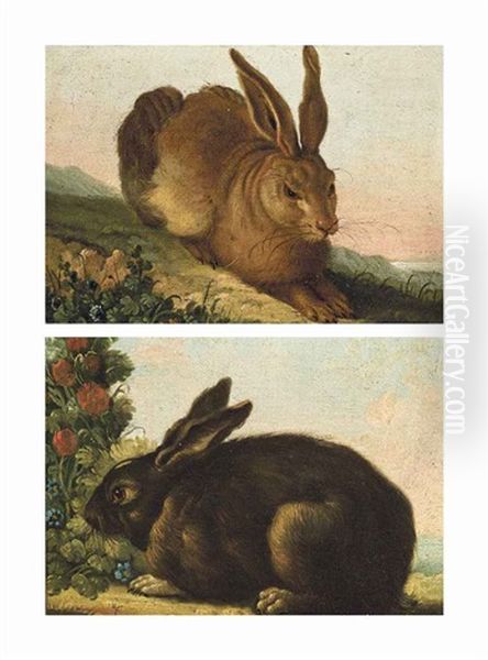 A Hare In A Landscape; And A Rabbit By A Bush (pair) Oil Painting by Albrecht Duerer