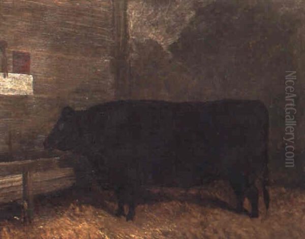 A Prize Bull In A Stable, First Prize Winner In The Suffolk Fat Cattle Club+ Oil Painting by John Duval